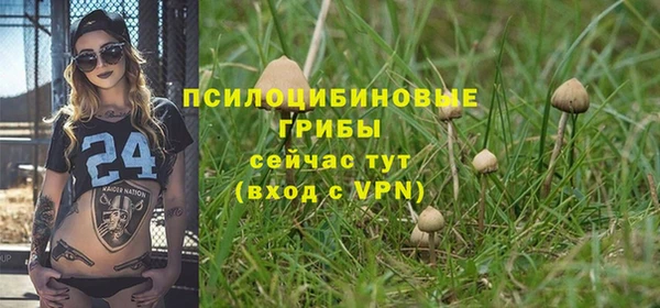 синтетический гашиш Нязепетровск