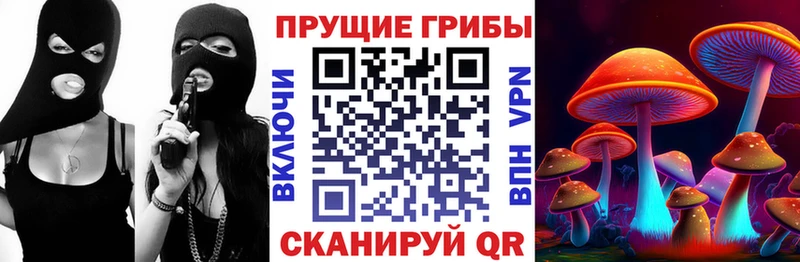Галлюциногенные грибы Psilocybe  Мостовской 
